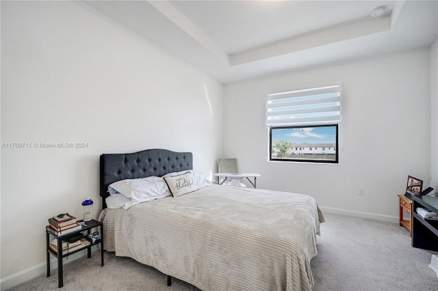 carpeted bedroom with a raised ceiling