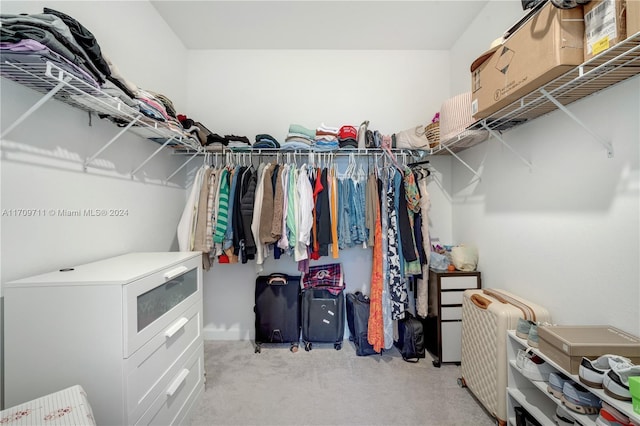 walk in closet with light colored carpet