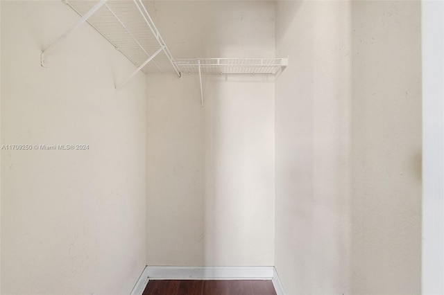 spacious closet featuring hardwood / wood-style flooring