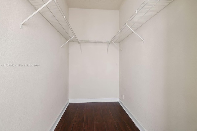 spacious closet featuring hardwood / wood-style flooring