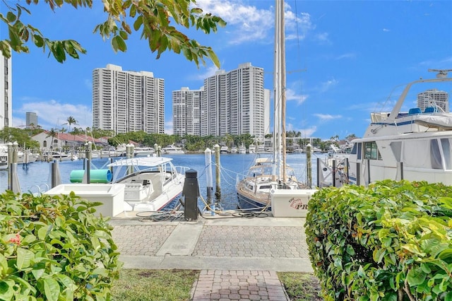 property view of water featuring a boat dock