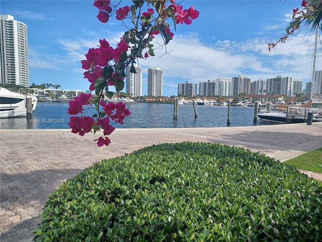 property view of water with a city view and a dock