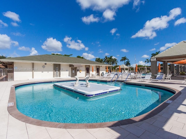 view of pool featuring a patio