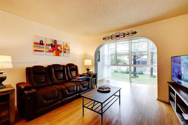 living room featuring wood-type flooring and a textured ceiling