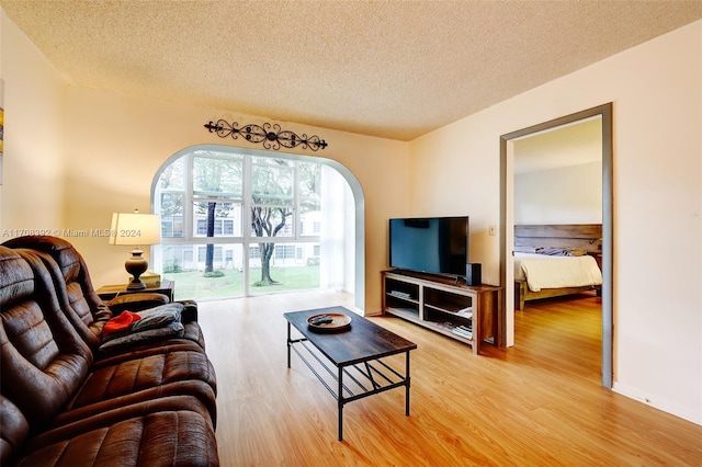 living room with hardwood / wood-style floors and a textured ceiling