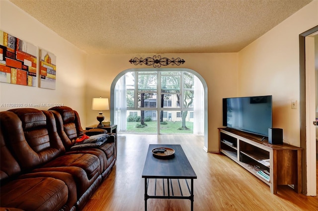 living room featuring a textured ceiling and hardwood / wood-style flooring