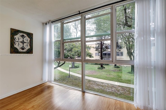 entryway with light wood-type flooring