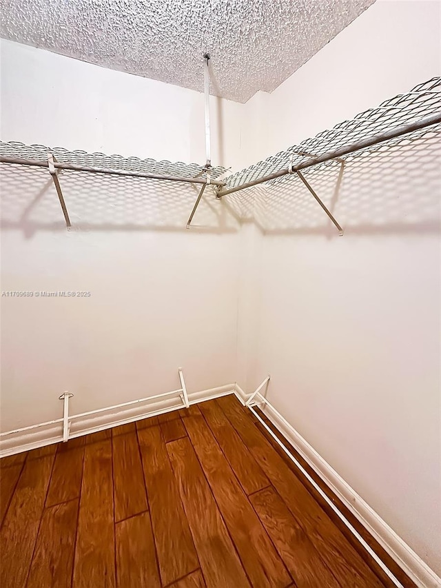 spacious closet featuring wood-type flooring