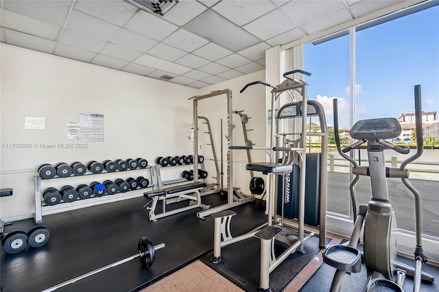 workout area featuring a paneled ceiling and floor to ceiling windows