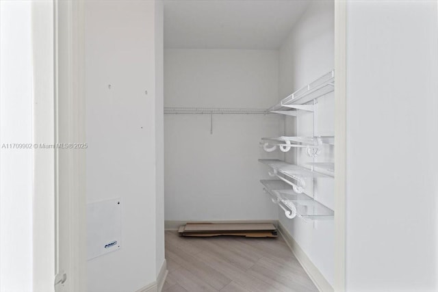 spacious closet featuring light hardwood / wood-style flooring