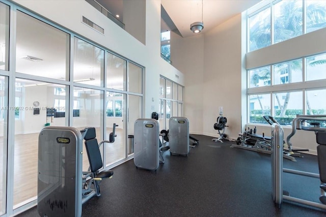 workout area with a high ceiling