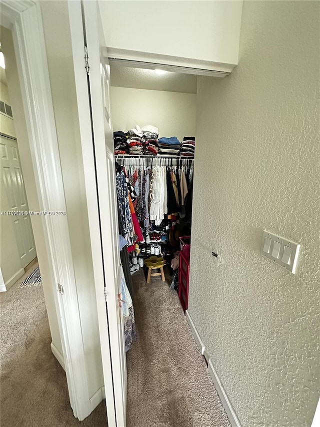 view of closet