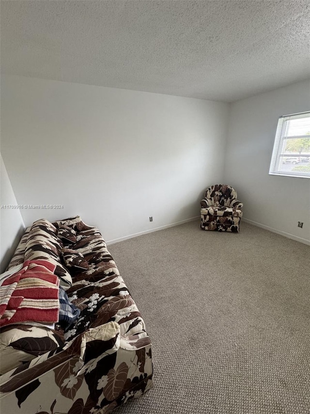 interior space with carpet and a textured ceiling