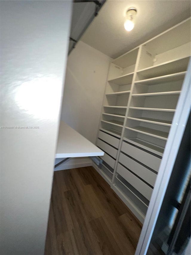 walk in closet with hardwood / wood-style flooring