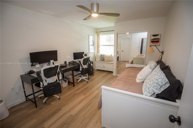 office featuring wood-type flooring and ceiling fan