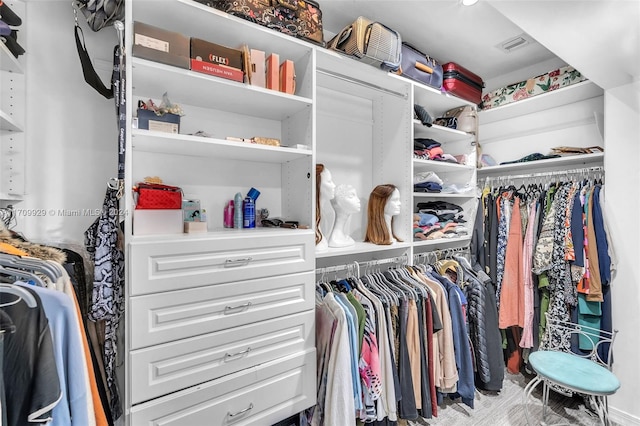 view of walk in closet