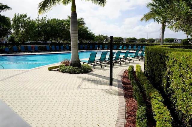 view of pool with a patio