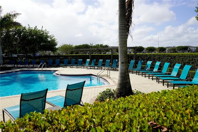 view of pool featuring a patio