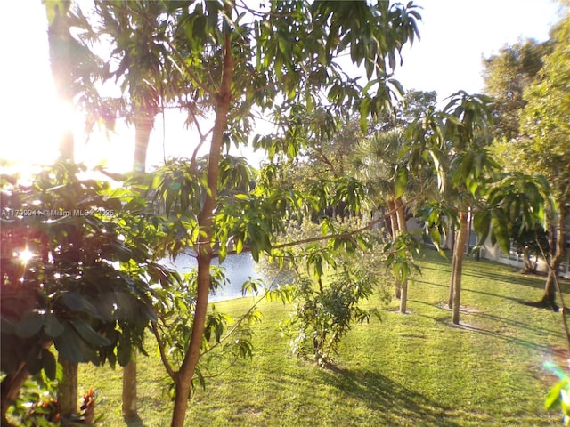 view of community with a lawn