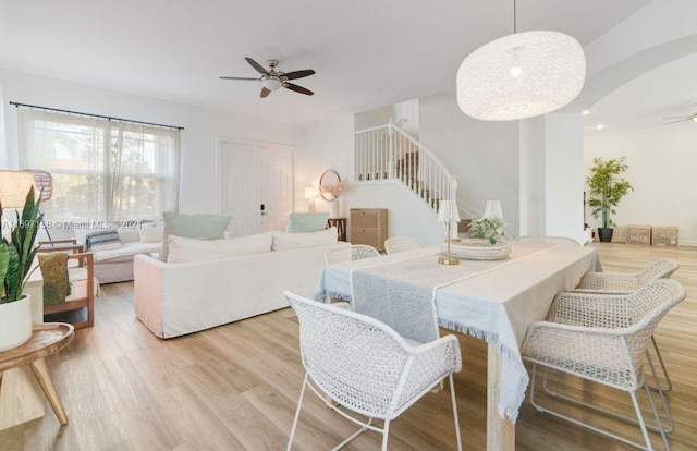 dining area featuring light wood-type flooring and ceiling fan