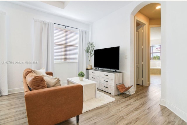 living room featuring light hardwood / wood-style flooring