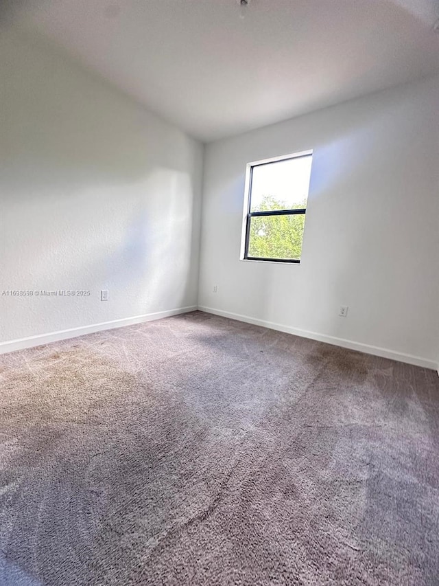 spare room with carpet floors