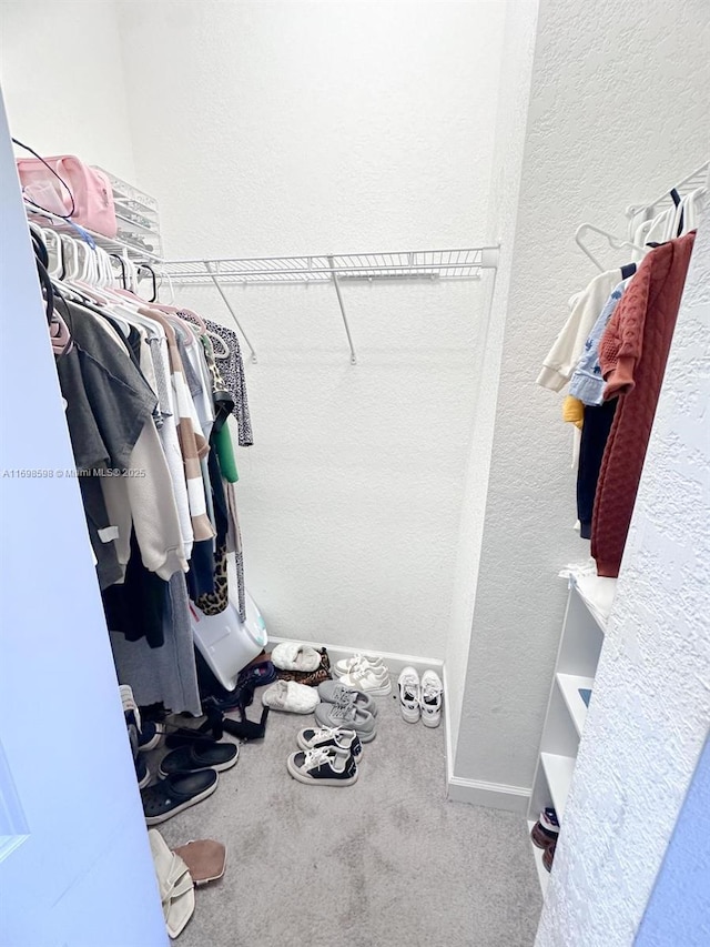 walk in closet featuring carpet floors