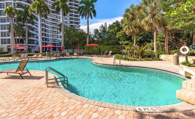 view of swimming pool with a patio area