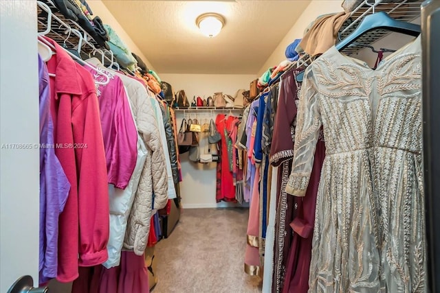 spacious closet featuring carpet floors