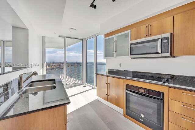 335 S Biscayne Blvd Unit 4109, Miami, FL 33131 - kitchen with a wall of windows, dark stone counters, a sink, black appliances, and wood finished floors