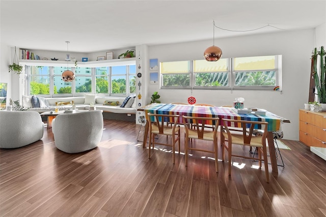 dining room with dark hardwood / wood-style flooring