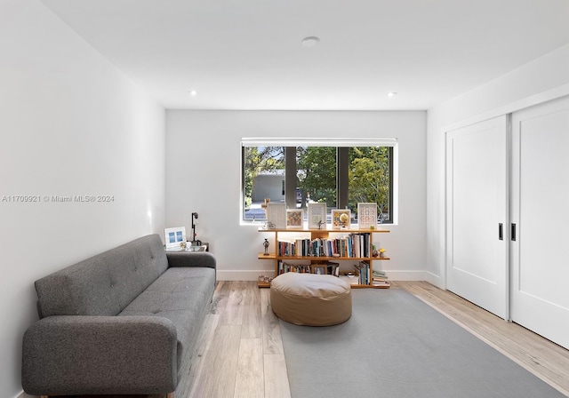 living room featuring wood-type flooring