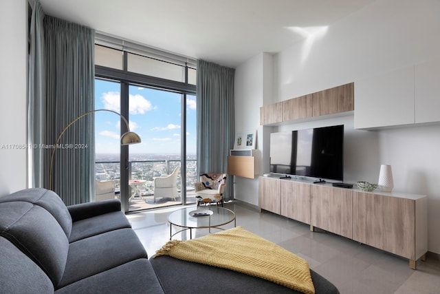 living room with a wealth of natural light