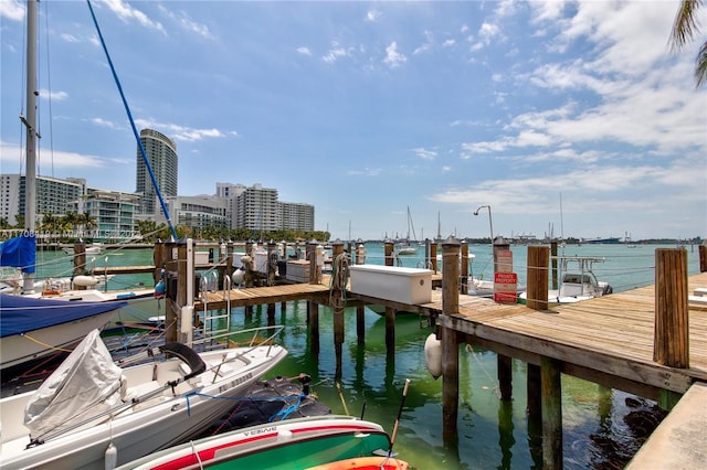 dock area with a water view