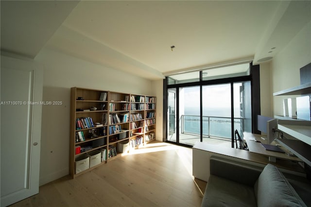 living area featuring light hardwood / wood-style floors and expansive windows