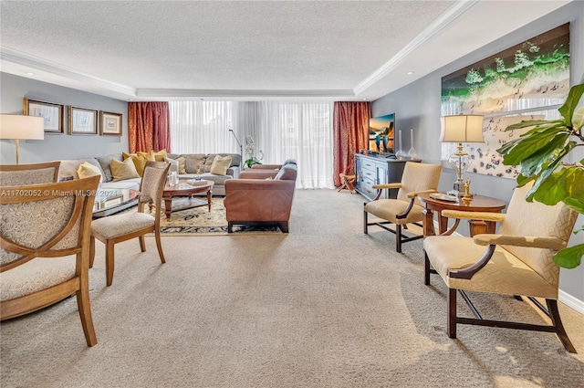 living room with a tray ceiling, carpet flooring, and a textured ceiling