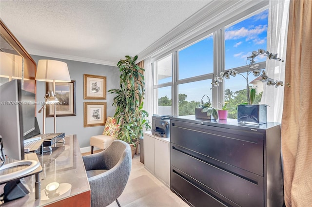 office featuring light carpet, a textured ceiling, and ornamental molding