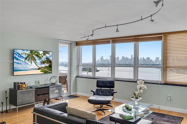 living room with light hardwood / wood-style floors