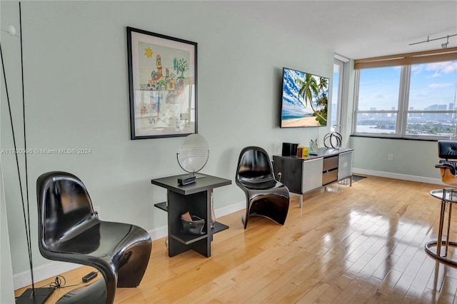 living area with light hardwood / wood-style floors