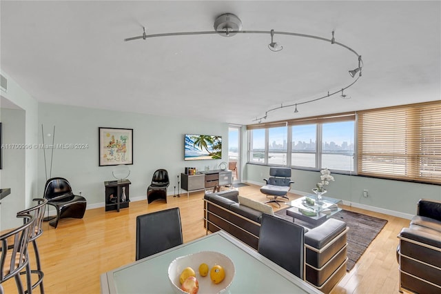 living room featuring light hardwood / wood-style flooring