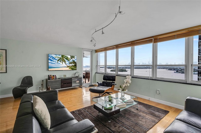 living room featuring hardwood / wood-style floors, track lighting, and a healthy amount of sunlight