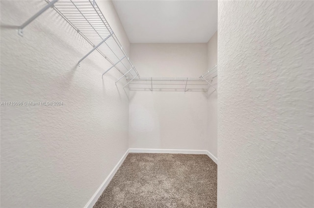 walk in closet featuring carpet floors