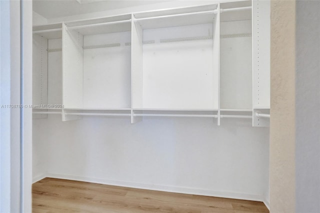 walk in closet with wood-type flooring