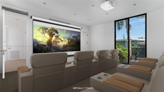 view of home theater room