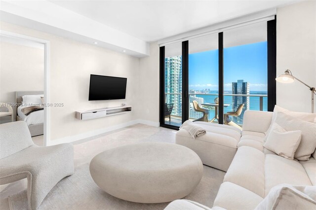 living room featuring expansive windows