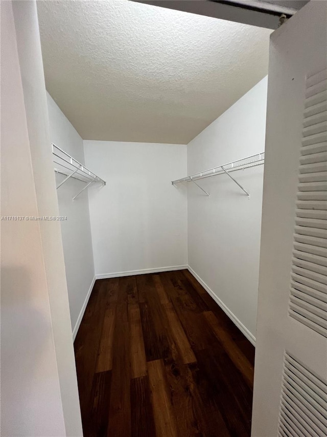 walk in closet with hardwood / wood-style flooring