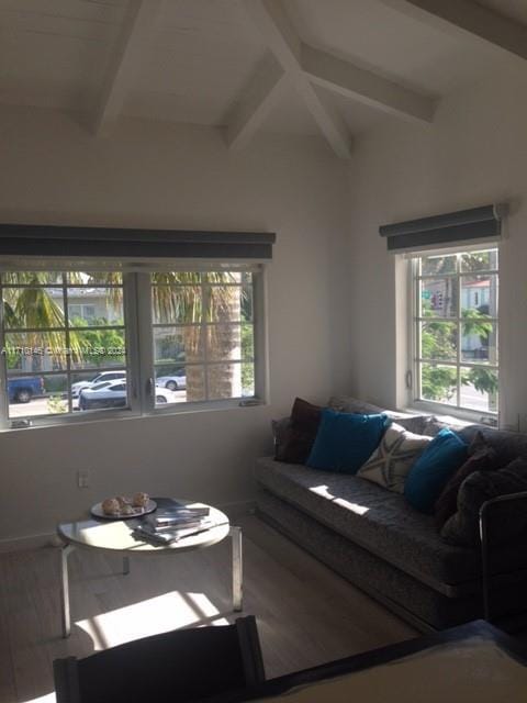 living room with hardwood / wood-style flooring, plenty of natural light, and lofted ceiling with beams