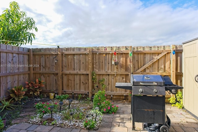 view of patio / terrace featuring grilling area