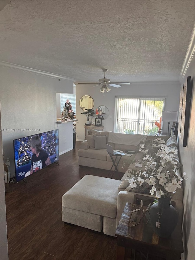 living room featuring ceiling fan, crown molding, dark wood-type flooring, and a textured ceiling