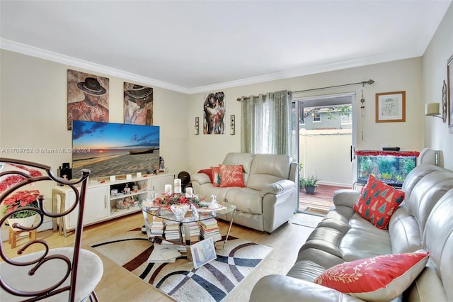 living room with crown molding and light hardwood / wood-style flooring